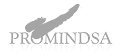 logo-promindsa 1